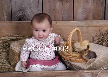 003bishop5x7proof