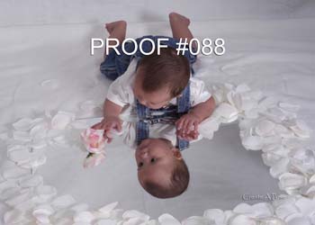 088bishop5x7proof