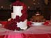 michelles wedding texas 2008 may 31 913