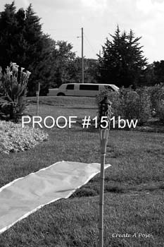 bride151bw