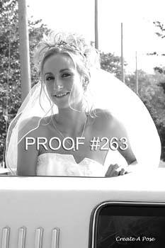 bride263bw