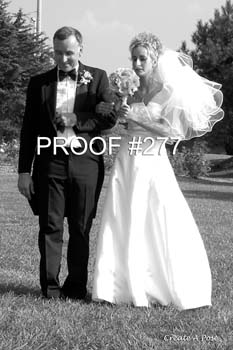 bride277bw