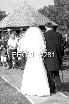 bride281bw