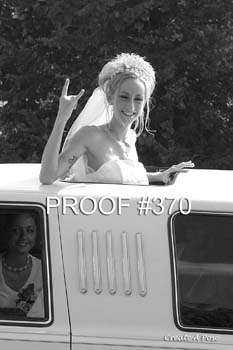 bride370bw