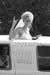 bride370bw